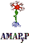 AMAPyP