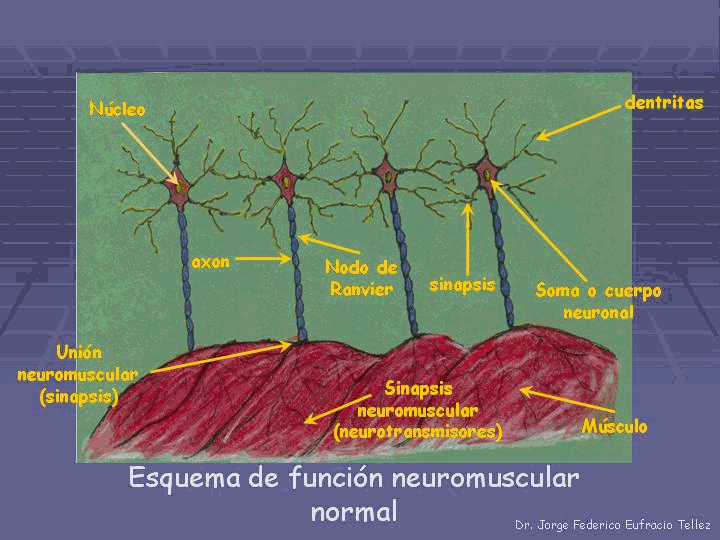 omcetpac