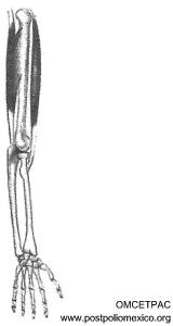 omcetpac
