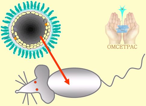 omcetpac