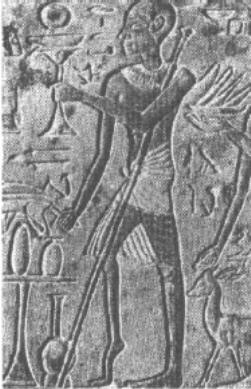 PolioEgipto