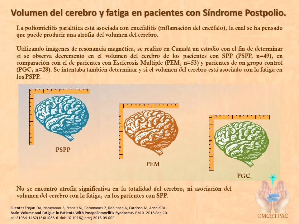 http://www.postpoliomexico.org/TamanoCerebroSPP.jpg