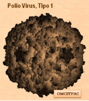 polio omcetpac